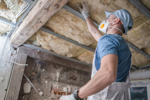 Best Residential Insulation Services  in Curtisville, PA