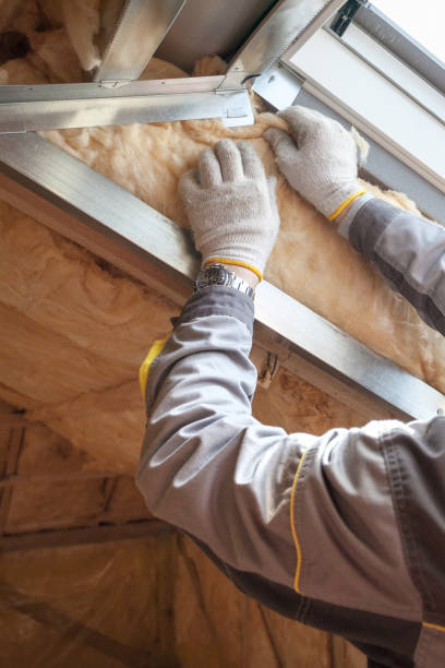 Best Insulation Removal  in Curtisville, PA