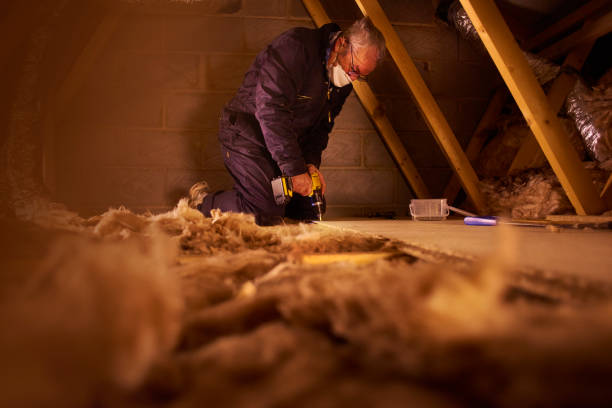 Best Insulation Removal  in Curtisville, PA